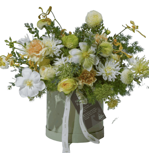 Flowers - Box - Evergreen Smile - Fresh Flowers image