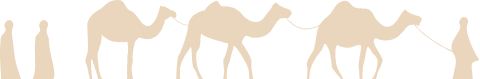 Camel