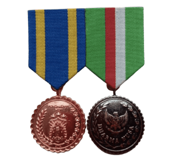 Mini Medal - Resin