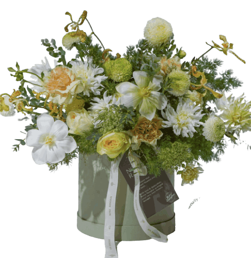 Flowers - Box - Evergreen Smile - Fresh Flowers iamge